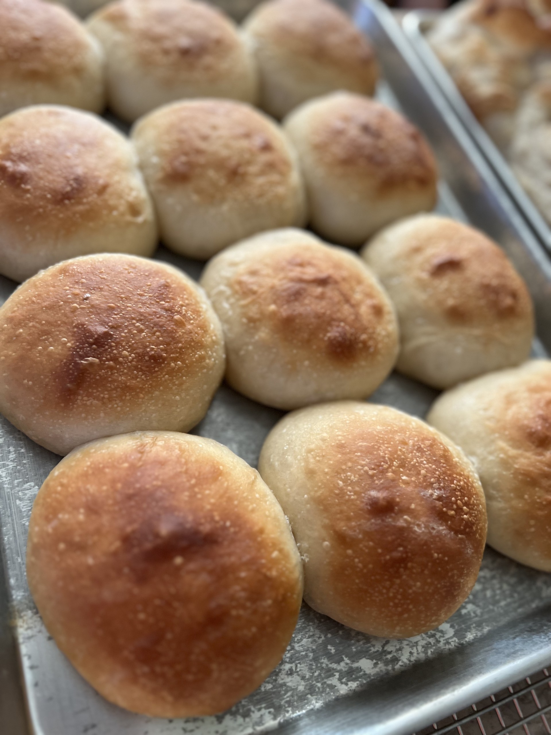 Sourdough Hawaiian Rolls